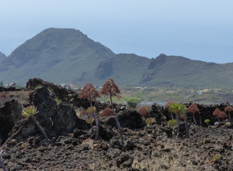 Lavafeld vom Chiniero