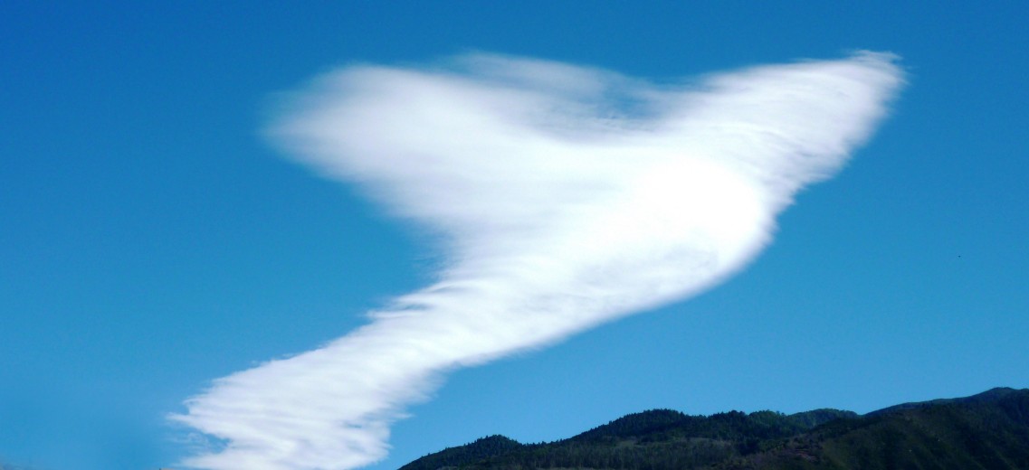 Wolke
