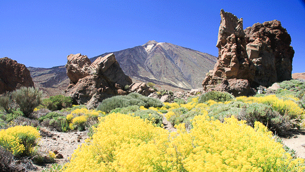 blick auf den Teide